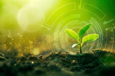 Créer un jardin zen demande de la patience et du savoir-faire. Cependant, un paysagiste peut réaliser ce type de projet.