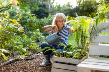 Un paysagiste conseille toujours de bien analyser le jardin avant d’installer un arrosage automatique. En effet, chaque espace