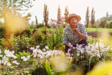 Un paysagiste conçoit et aménage les espaces extérieurs. En effet, il imagine des jardins harmonieux et fonctionnels. Ensuite,