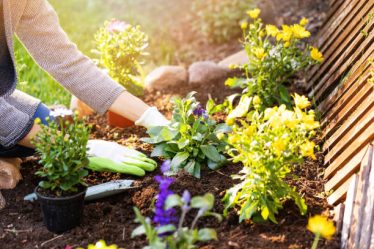 Un paysagiste ne se limite pas à la création d’espaces verts. En effet, il assure aussi leur entretien régulier. Ainsi, il veille à la santé