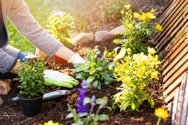 Un paysagiste ne se limite pas à la création d’espaces verts. En effet, il assure aussi leur entretien régulier. Ainsi, il veille à la santé