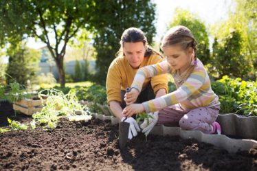 Un paysagiste conçoit et aménage les espaces extérieurs. En effet, il imagine des jardins, crée des allées et installe des éléments