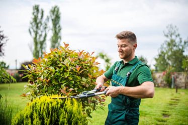 Choisir un paysagiste créatif et local est essentiel pour transformer votre espace extérieur efficacement. Ensuite, un professionnel